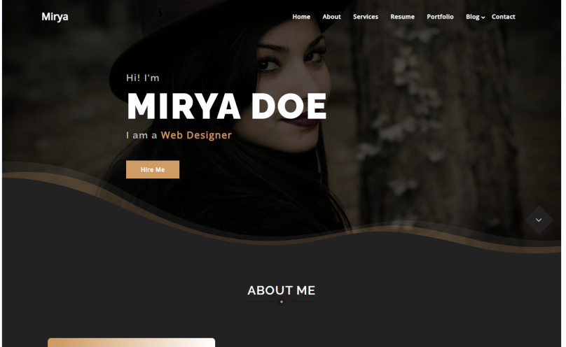 Personal Portfolio WordPress Theme