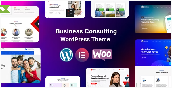 Consua – Business Consulting WordPress