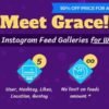 Instagram Feed Gallery Grace for WordPress 4.0.3