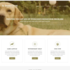 Animals Pets Joomla Template