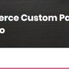 WooCommerce Custom Payment Gateway Pro