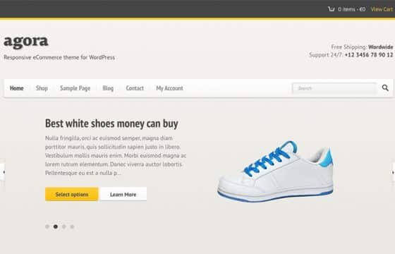 CSSIgniter Agora WordPress Theme