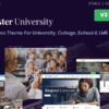 Kingster – Education, School WordPress
